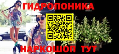 бошки Кинель